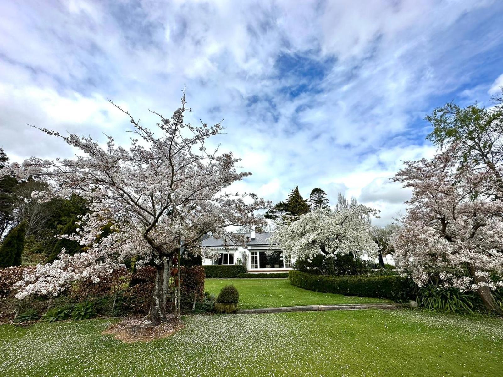 Bed and Breakfast Whiteacres Invercargill Exterior foto